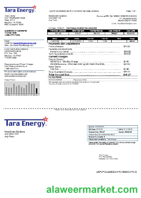 USA Texas Tara Energy business utility bill template in Word and PDF formats